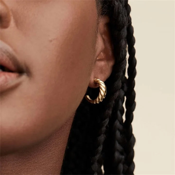 Silver Croissant Twisted Hoop Earrings
